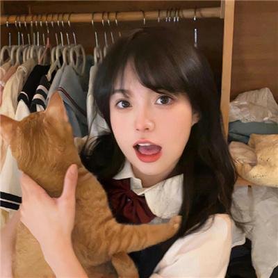 十全九美村 排行榜封面